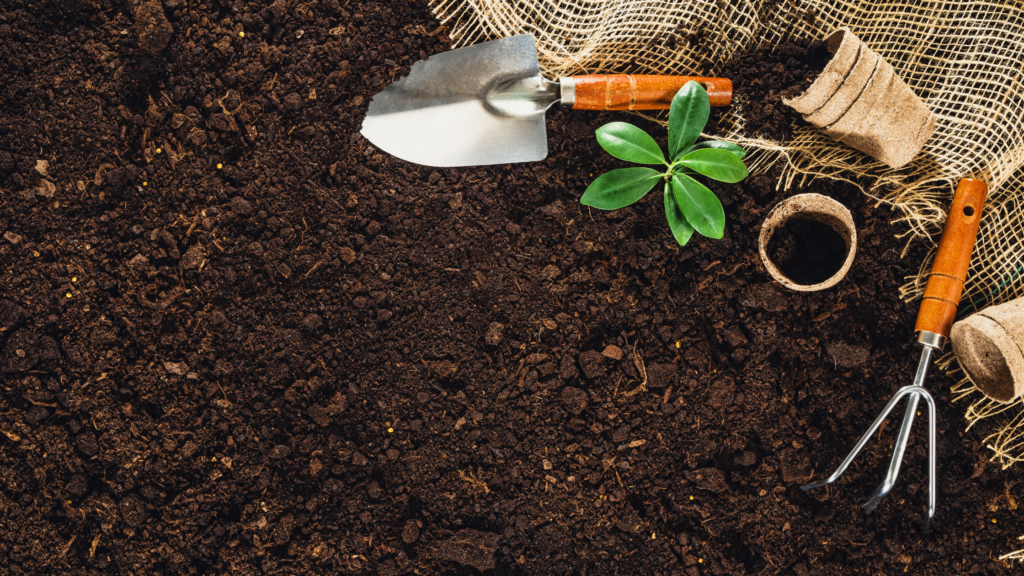 soil preparation. mulch and compost