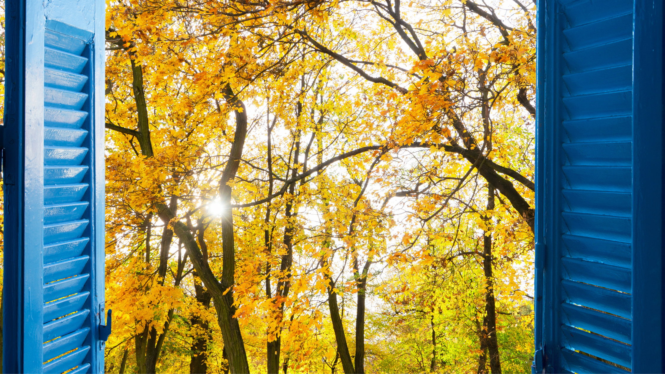 October Gardening Checklist: Mid-Atlantic Edition