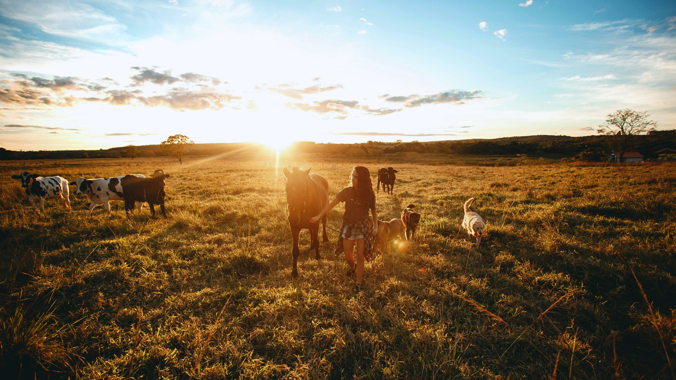 Support Local Farms For Better Health