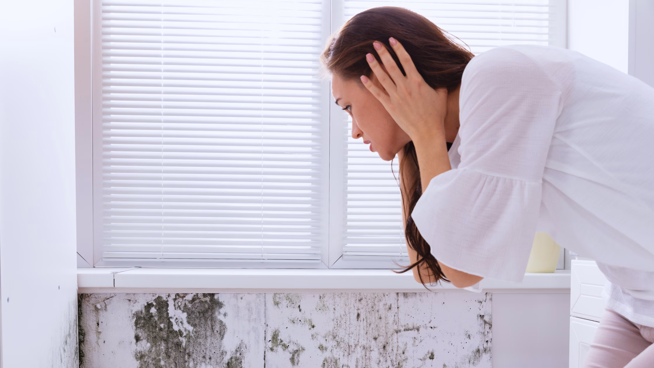 Mold Toxicity: Protect Your Home and Detox Your Body