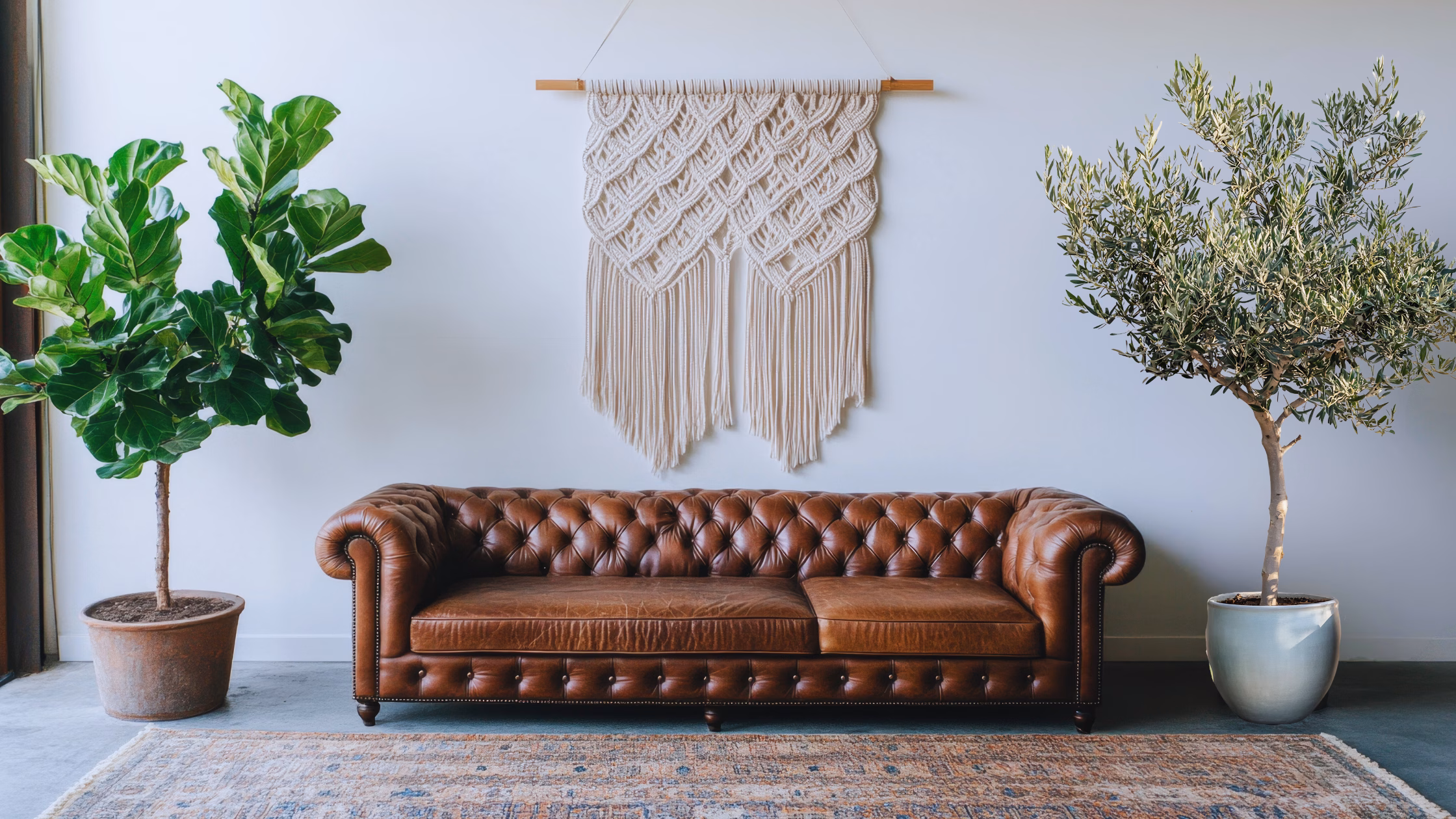 How and When to Prune Indoor Olive and Fiddle Leaf Fig Trees